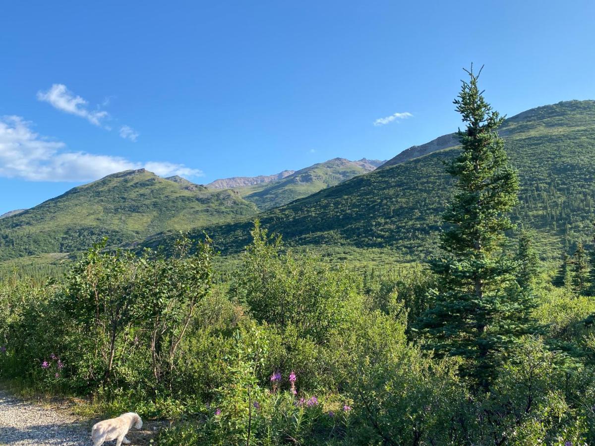 Denali Rv Park & Motel Хілі Екстер'єр фото