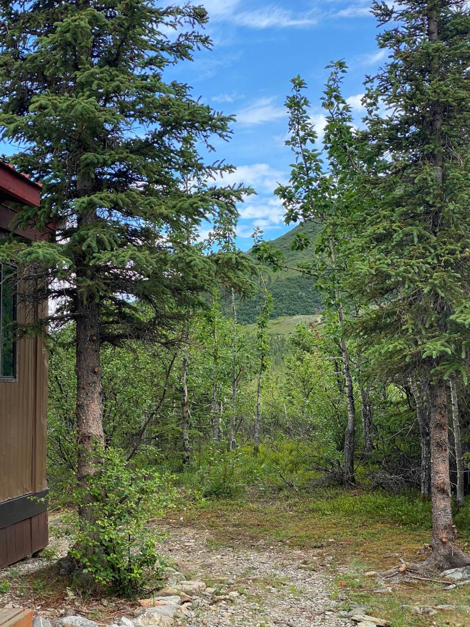 Denali Rv Park & Motel Хілі Екстер'єр фото